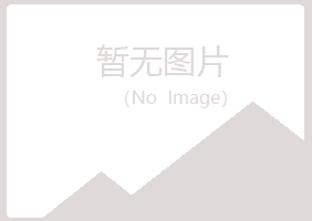 大同新荣女孩演艺有限公司